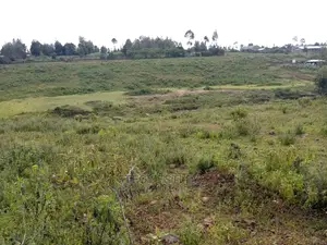 Virgin Land in Nyandarua Ol Kalau
