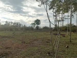 Nanyuki/Burguret 8 Acres