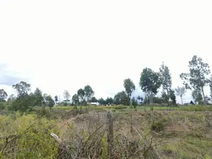 7 Acres Nanyuki/Delmonte