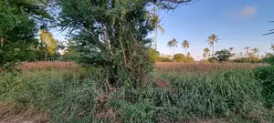 A Parcel of 3 Acre Land on Sale at Mtwapa Coca-Cola Area