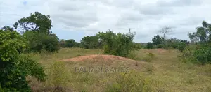 57 Acres in Lungalunga