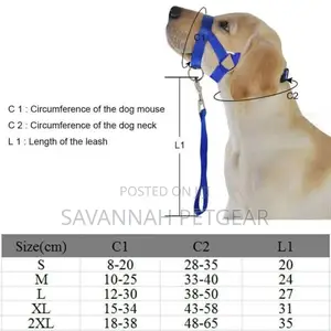 Halti Style Dog Head Collar Leash, No Pull Training, Light
