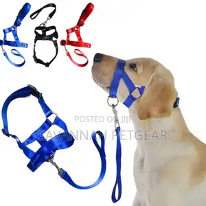 Halti Style Dog Head Collar Leash, No Pull Training, Light