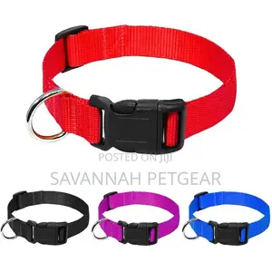 Quick Snap Buckle Light Dog Collar