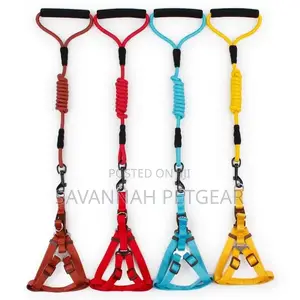 Polyester Step in Back Clip Dog Harness Wth Padded Dog Leash