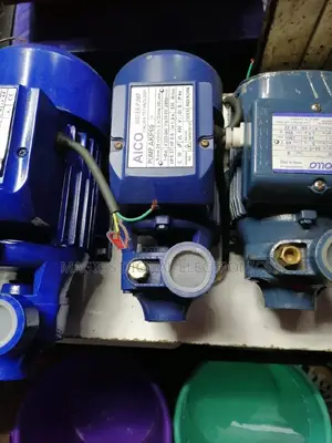 Dual Booster Pump