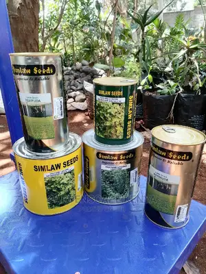 Lucerne Aurora Legume Pasture Seeds