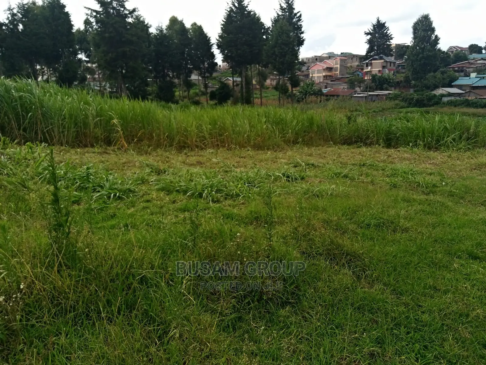 50 by 100 Plot for Sale