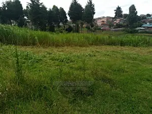 50 by 100 Plot for Sale