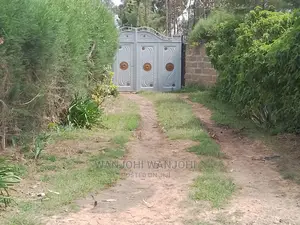 Very Prime Plots in Kasuku