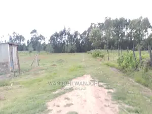Prime Plots in Nyandarua County