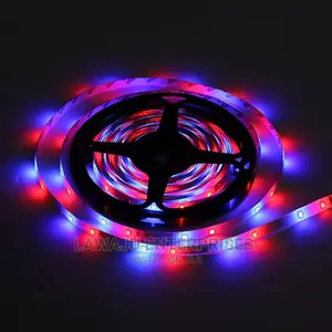 5m RGB LED Snake Light
