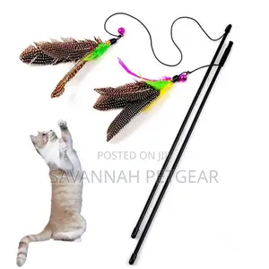 Bird Feather Teaser Wand Cat Toy