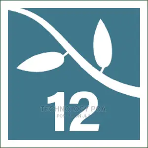 Lumion 12 PRO