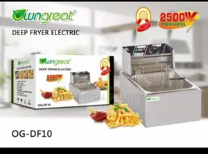 6 Litres Single Deep Fryer
