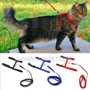 Adjustable Leash Harness Set for Cats