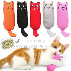 Funny Faces Plush Cat Toy With Catnip
