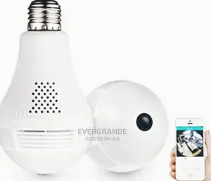 Panoramic Bulbs Camera Available Now.