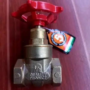 1/2 " Gate Valve
