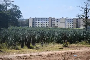 Vipingo Prime 2nd Row Beach Plots