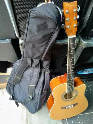 Semi Acoustic Box Guitar And Bag