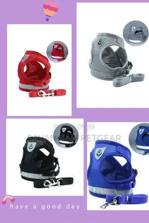 Step-in Vest Dog Harness And Leash Set