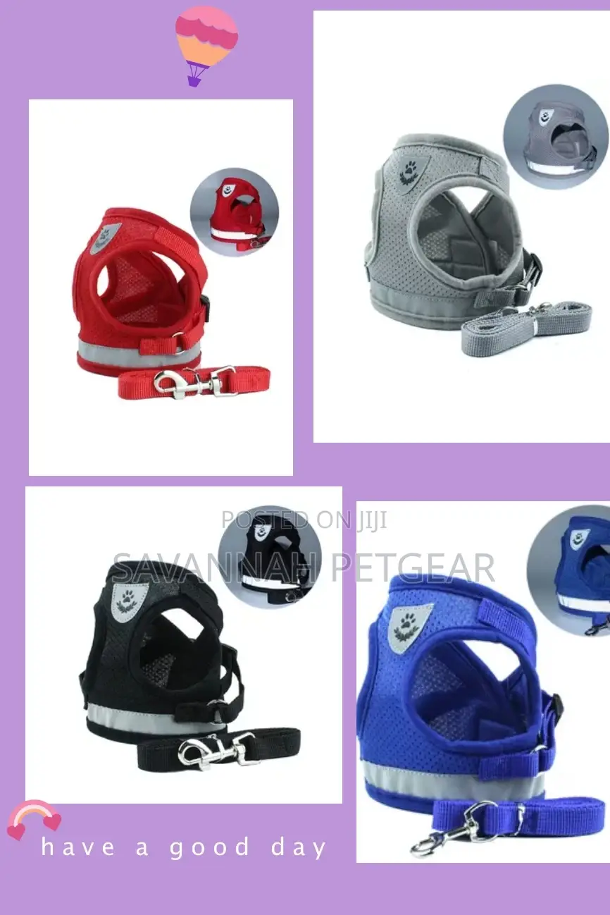 Step-in Vest Dog Harness And Leash Set
