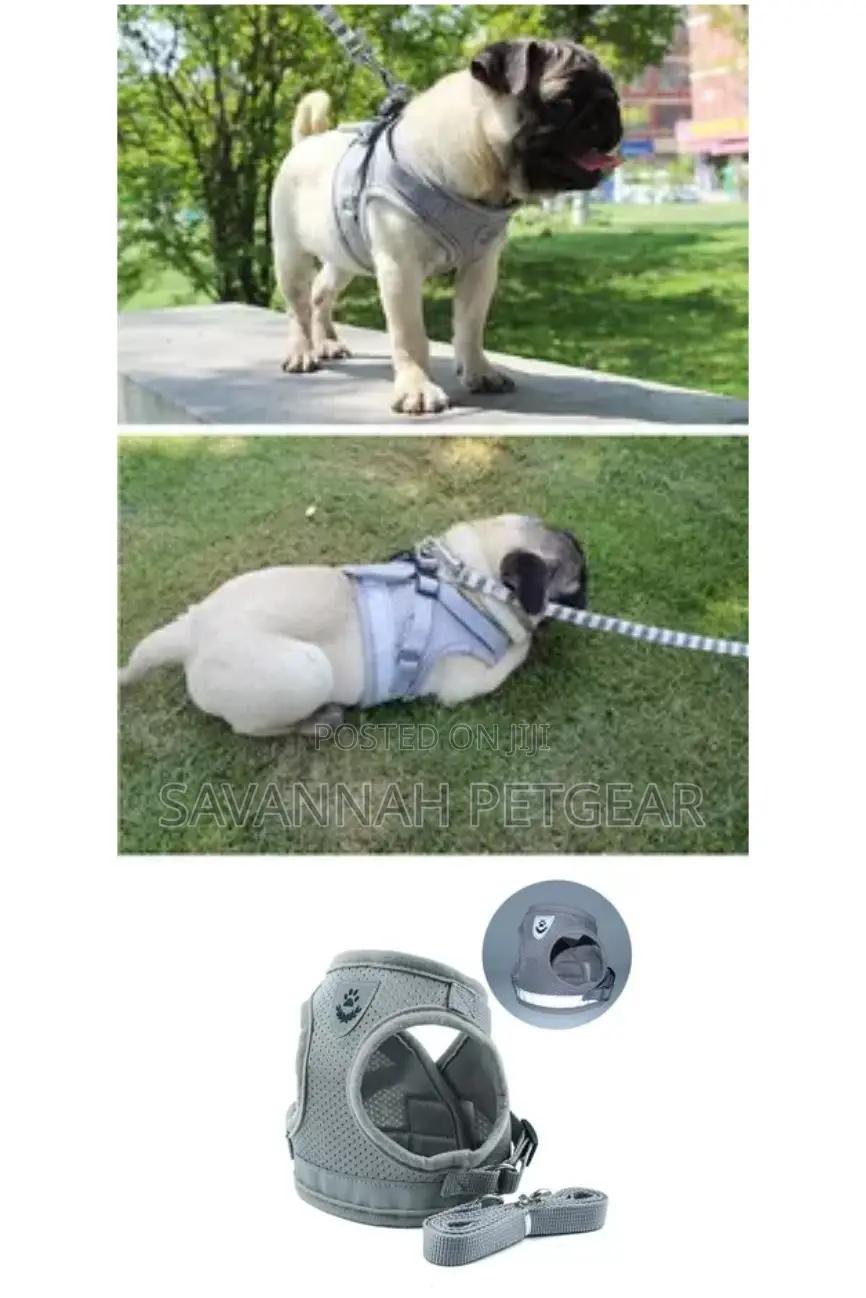 Step-in Vest Dog Harness And Leash Set