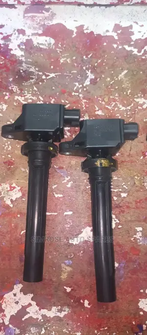 Suzuki Escudo Ignition Coils.