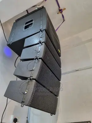 Line Array Public Address Speaker System