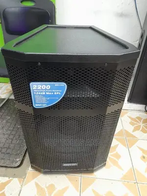 Briton Powered Wooden Speaker 2200w