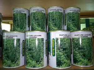 Lucerne Aurora 500gm