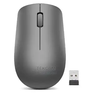 Lenovo 530 Wireless Mouse (Graphite)With Battery