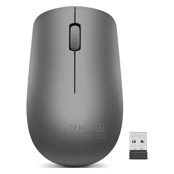 Lenovo 530 Wireless Mouse (Graphite)With Battery