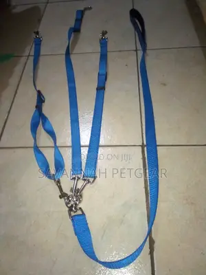 Three- Way Pet Leash With a Coupler for Walking 3 Dogs