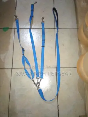 Three- Way Pet Leash With a Coupler for Walking 3 Dogs