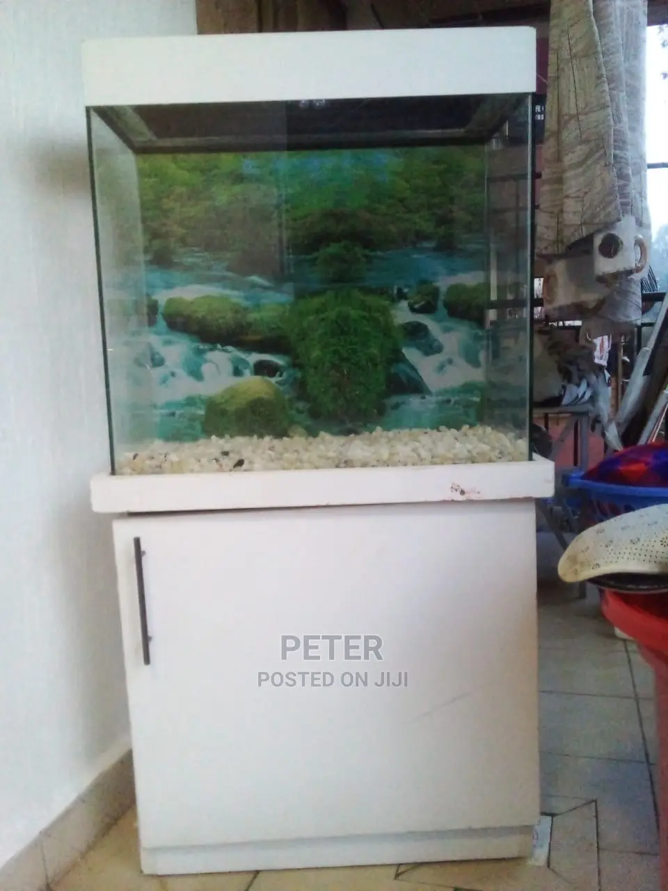 Aqualife Aquarium Store