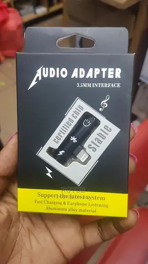 iPhone Audio Adapter