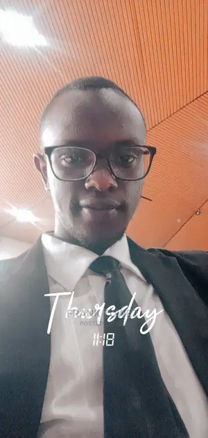 It Specialist Web Developer Ai Developer