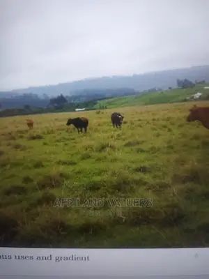 Land for Sale in Karunga Area (Gilgil)