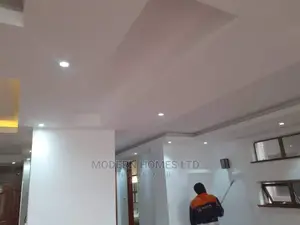 Expert Painters in Kenya