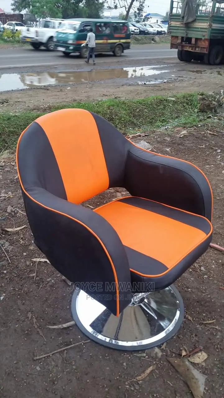 Salon Chair