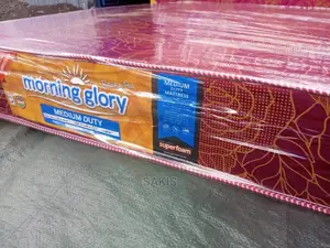 Good Sleep, Damn Cheap! Twin Size MD Mattresses 6inch!