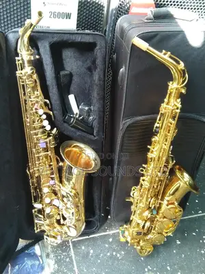 Suzuki Alto Saxaphone