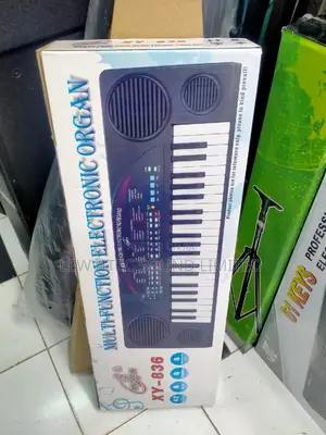 Multi Functional Organic Baby Keyboard