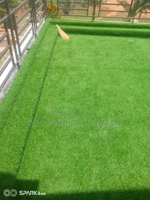 Grass Carpet Grass Carpet Grass Carpet Grass Carpet Grass
