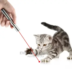Cat Laser Toy