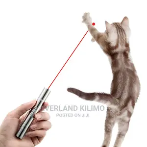 Cat Laser Toy