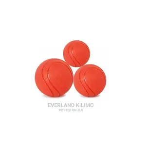 Dog Toy Balls / Fetch Balls