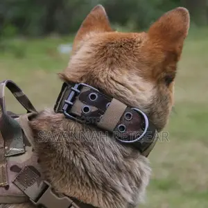 Military Tactical Dog Collar, Heavy Duty Handling Training